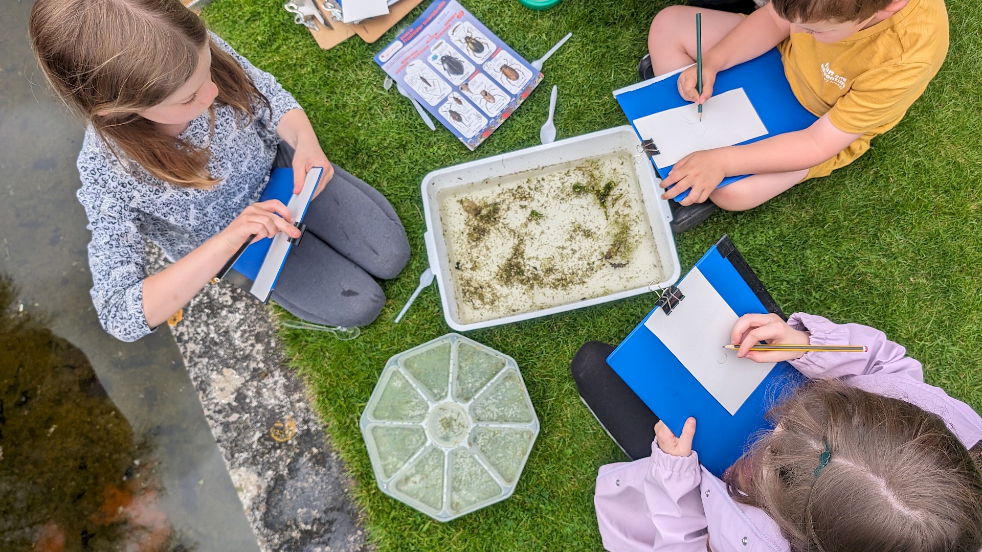 May Half Term Pond Dipping Image