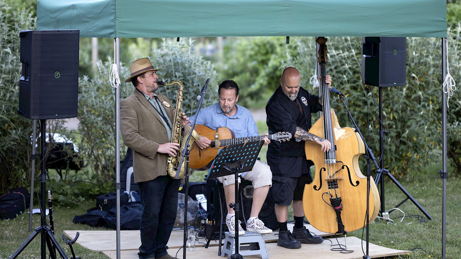 Jazz in the Garden: Metro Vipers Image